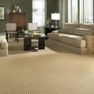 Living room Carpet | Floor Coverings of Winona