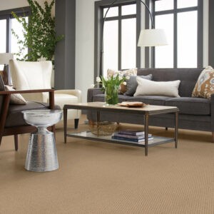 Living room Carpet flooring | Floor Coverings of Winona