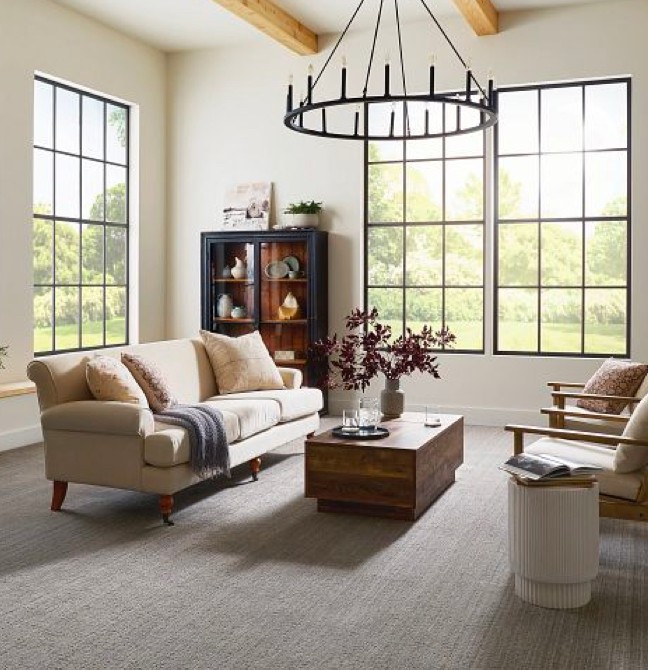 Living room Carpet | Floor Coverings of Winona