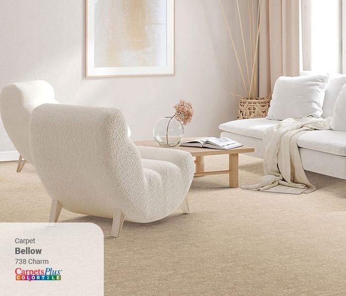 Living room Carpet flooring | Floor Coverings of Winona